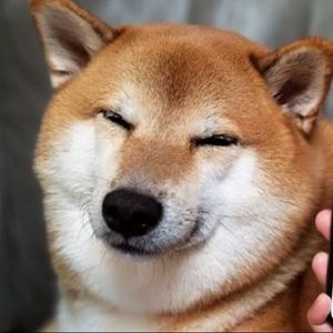 Meet your Posher, Victor